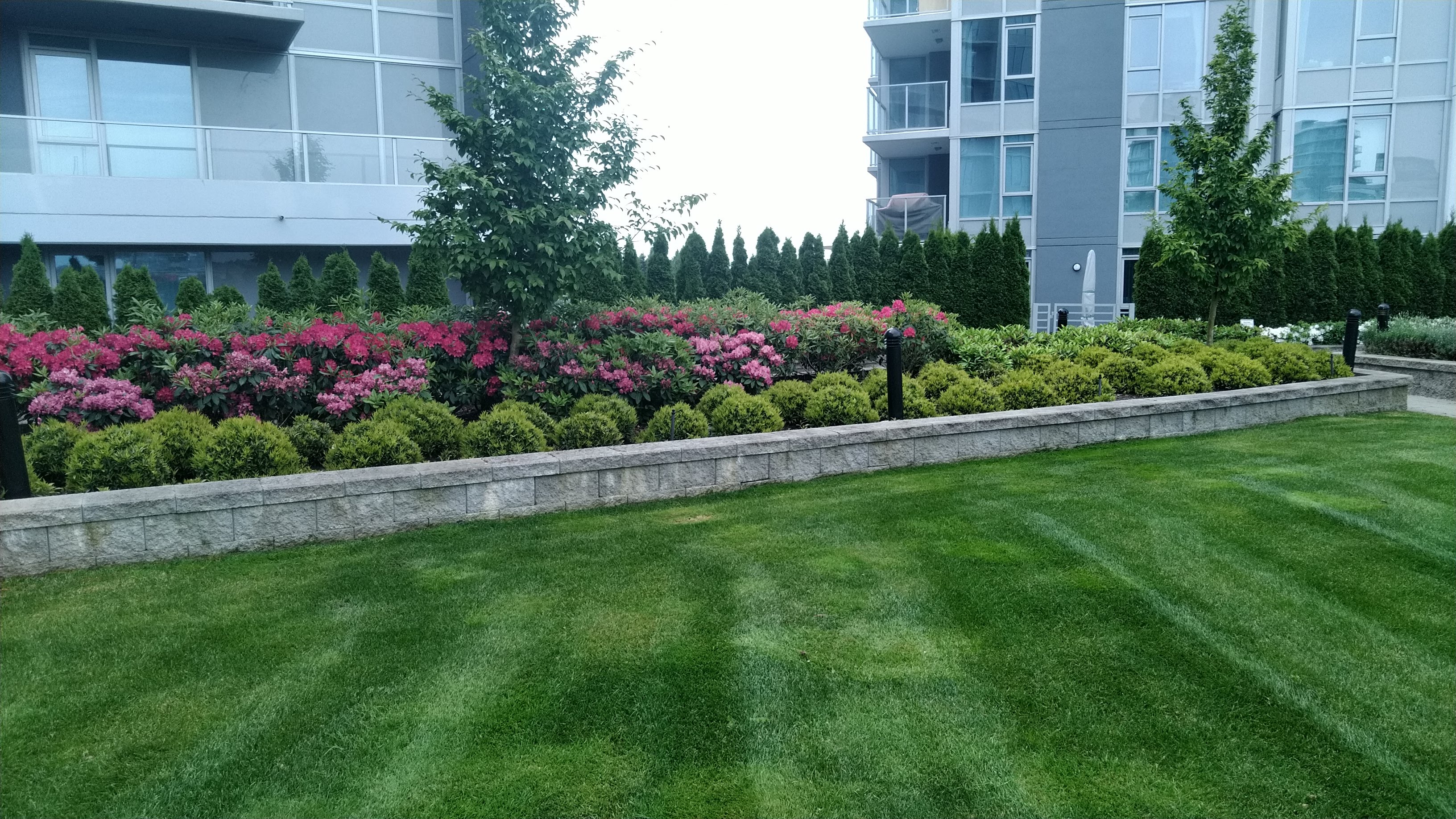 Freshly cut lawns on a building, Richmond