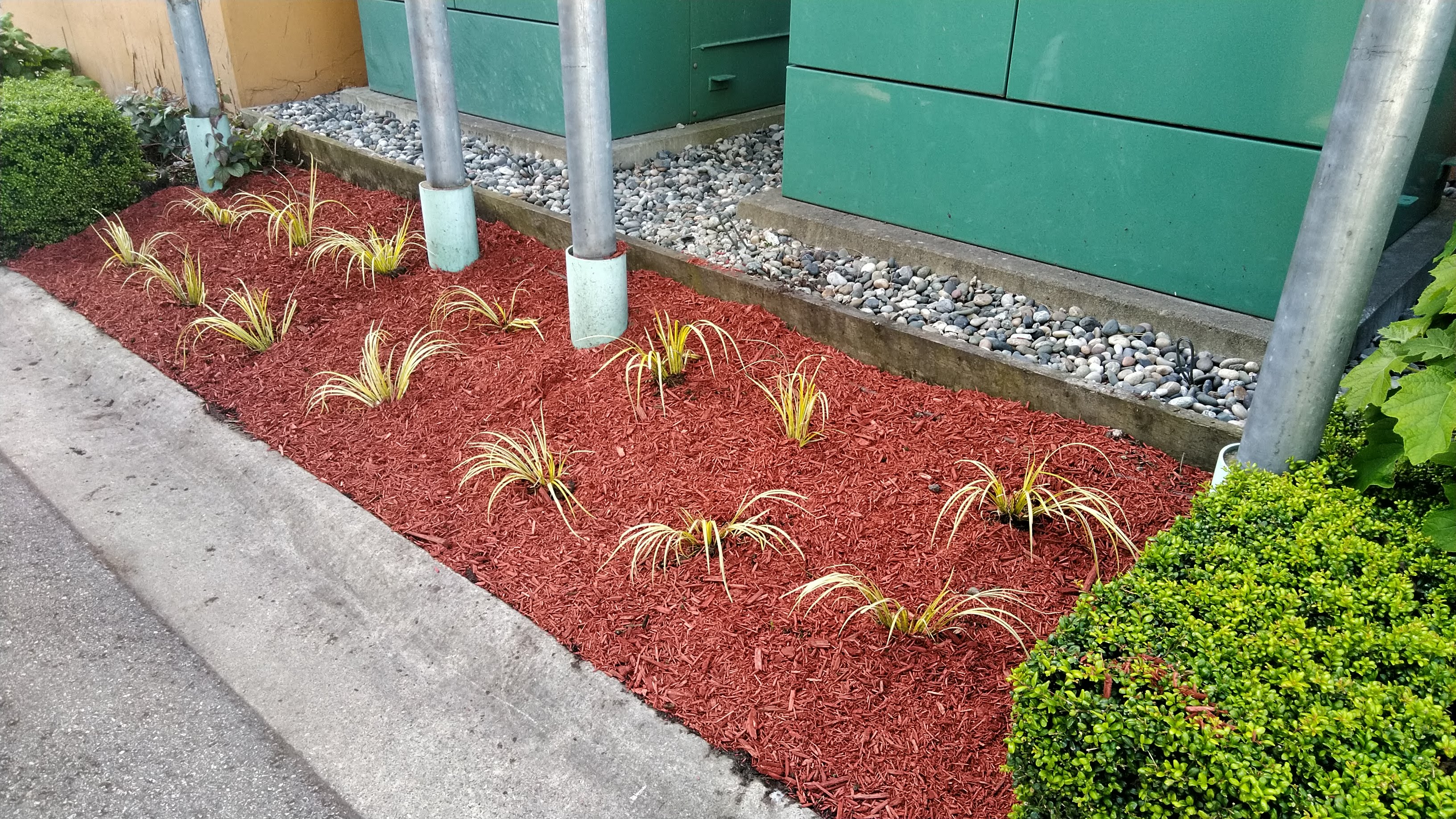 Red Mulch Garden Bed, Richmond