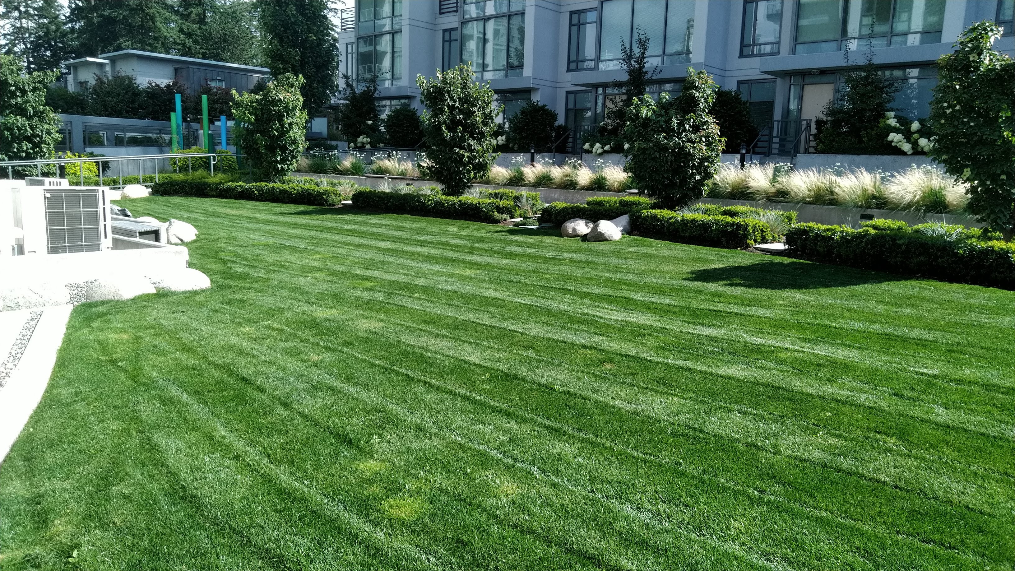 Cut Lawns Burnaby