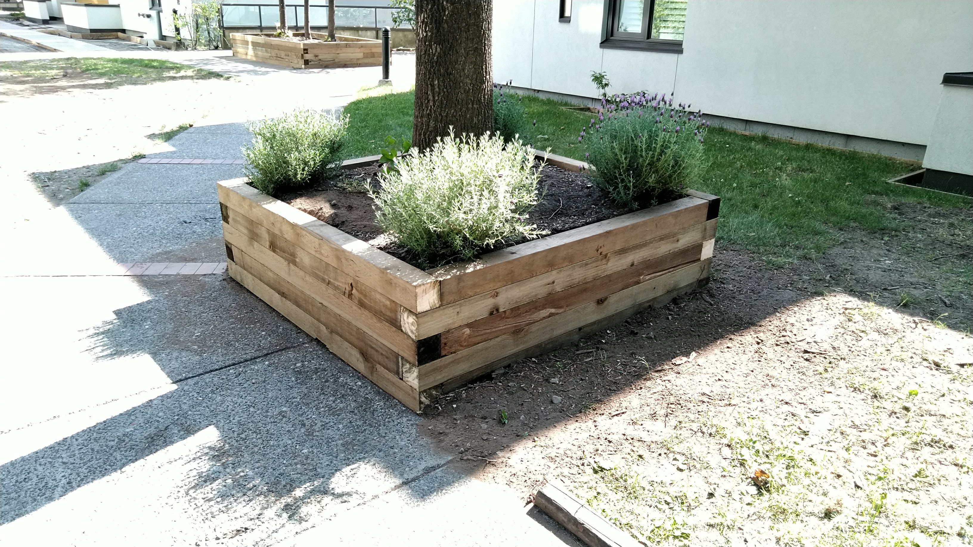 Wooden flower pot with tree and shrubs