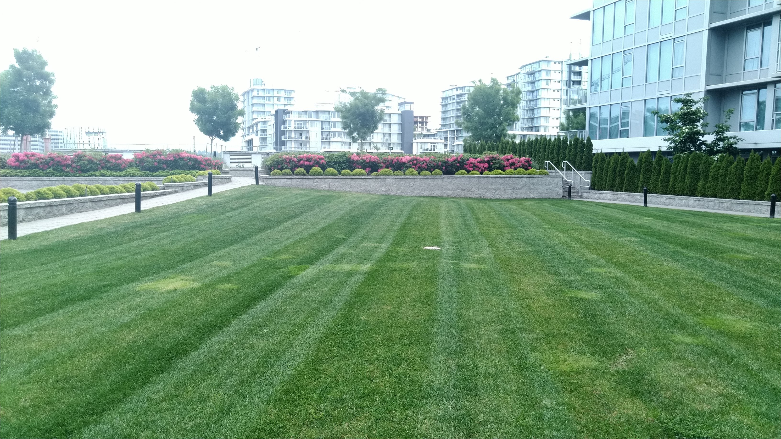 freshly cut lawn with flower beds in distance